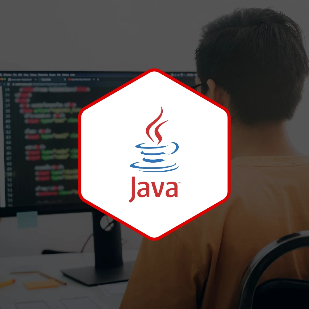 Java Certification Programming